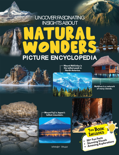 Uncover Fascinating Insights About Natural Wonders: Picture Encyclopedia (Picture Encyclopedia) book cover by Wonder House Books