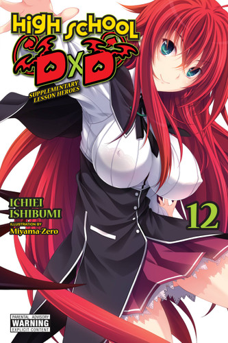High School DxD, Vol. 12 (light novel): Supplementary Lesson Heroes (High School DxD (light novel) #12) book cover by Ichiei Ishibumi