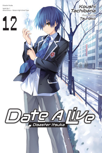 Date A Live, Vol. 12 (light novel): Disaster Itsuka (Date A Live (light novel) #12) book cover by Koushi Tachibana