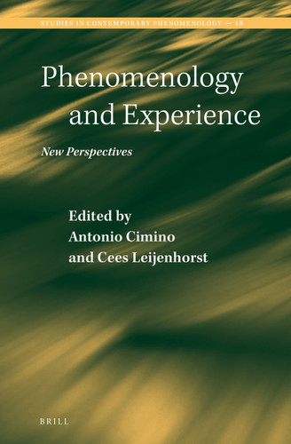 Phenomenology and Experience: New Perspectives [9789004391024]
