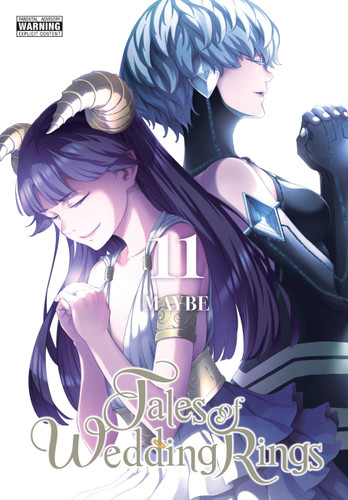 Tales of Wedding Rings, Vol. 11 (Tales of Wedding Rings #11) book cover by Maybe