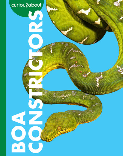 Curious about Boa Constrictors book cover by Rachel Grack