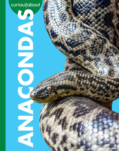 Curious about Anacondas book cover by Rachel Grack