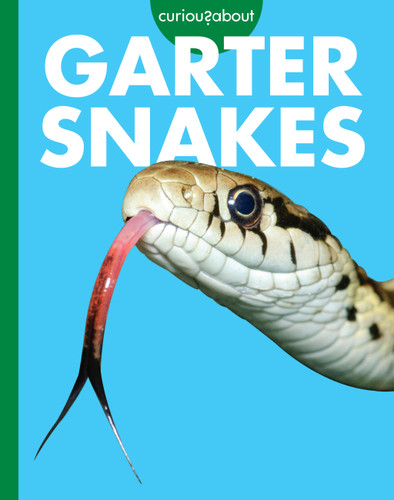 Curious about Garter Snakes book cover by Rachel Grack