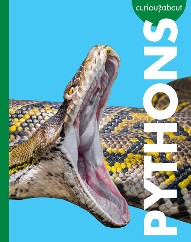 Curious about Pythons book cover by Rachel Grack