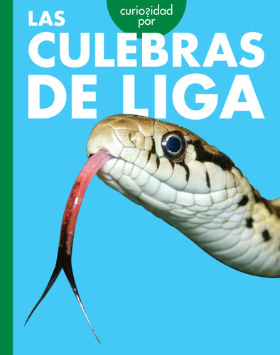 Curiosidad por las culebras de liga book cover by Rachel Grack