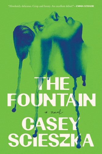 The Fountain: A Novel book cover by Casey Scieszka