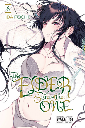 The Elder Sister-Like One, Vol. 6 (The Elder Sister-Like One #6) book cover by Iida Pochi.