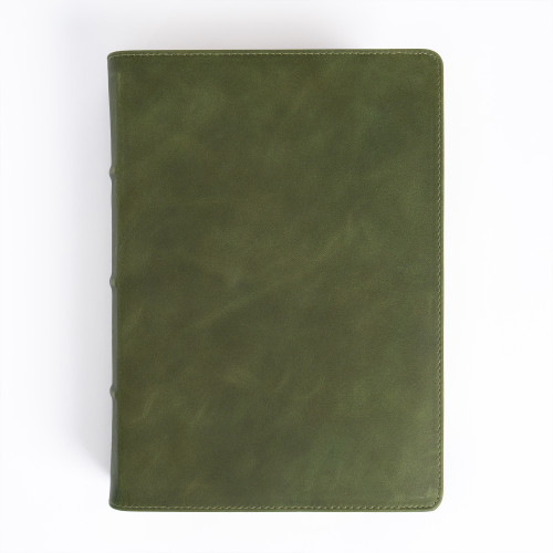 CSB She Reads Truth Bible, Holman Handcrafted Collection, Olive Premium Calfskin (She Reads Truth) book cover by Raechel Myers, Amanda Bible Williams, CSB Bibles by Holman