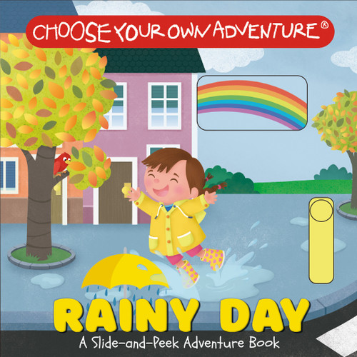 Rainy Day: A Slide-and-Peek Adventure Book book cover by 