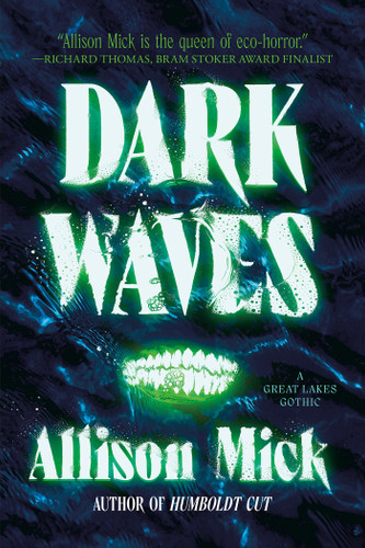 Dark Waves: A Great Lakes Gothic book cover by Allison Mick