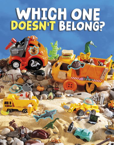 Which One Doesn't Belong? (Can You Find It?) book cover by Mandy R. Marx
