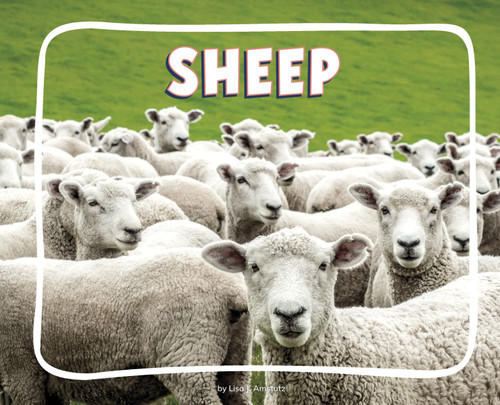 Sheep (Knowledge Builders: On the Farm) book cover by Lisa J. Amstutz