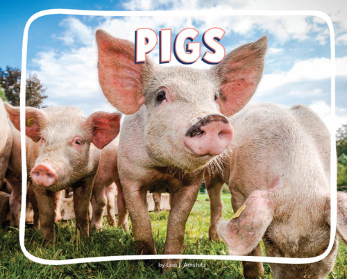 Pigs (Knowledge Builders: On the Farm) book cover by Lisa J. Amstutz