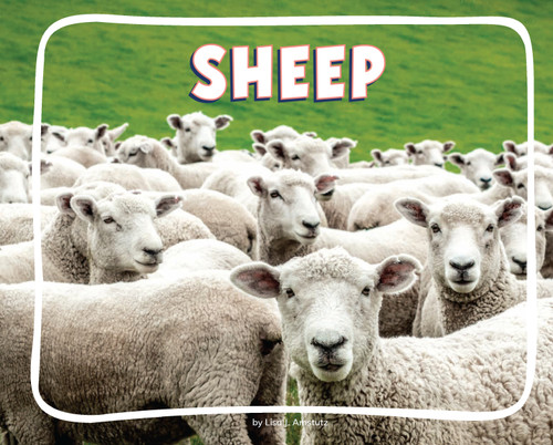 Sheep (Knowledge Builders: On the Farm) book cover by Lisa J. Amstutz