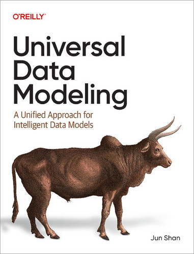 Universal Data Modeling: A Unified Approach for Intelligent Data Models book cover by Jun Shan