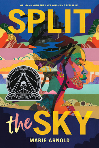 Split the Sky (Coretta Scott King Author Honor Title) book cover by Marie Arnold