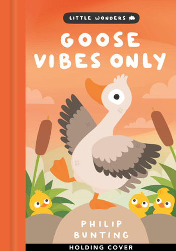 Duck, Duck, Honk! (Little Wonders) book cover by Philip Bunting
