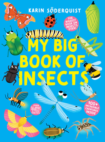 My Big Book of Insects (My Big Book Series) book cover by Healther Welfing