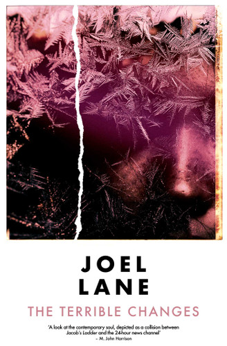 The Terrible Changes book cover by Joel Lane