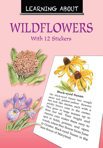 Learning About Wildflowers (Dover Little Activity Books: Flowers) book cover by Dot Barlowe