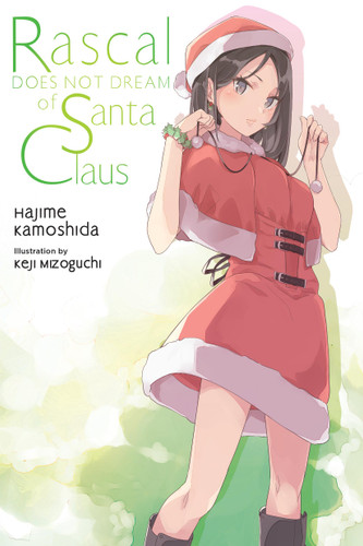Rascal Does Not Dream of Santa Claus (light novel) (Rascal Does Not Dream (light novel) #13) book cover by Hajime Kamoshida