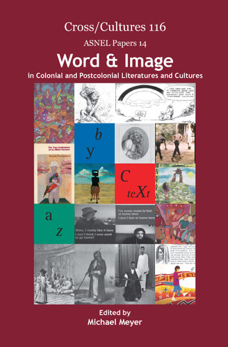 Word & Image in Colonial and Postcolonial Literatures and Cultures [9789042027435]