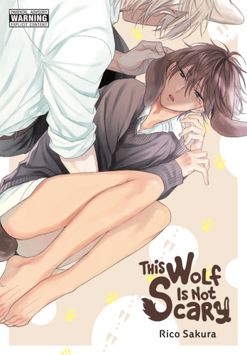 This Wolf Is Not Scary book cover by Rico Sakura