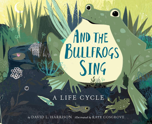 And the Bullfrogs Sing: A Life Cycle Begins Cover And the Bullfrogs Sing: A Life Cycle Begins Cover