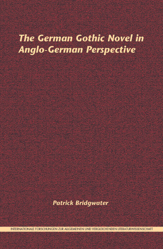 The German Gothic Novel in Anglo-German Perspective [9789042037410]