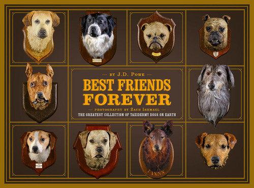 Best Friends Forever: The Greatest Collection of Taxidermy Dogs on Earth book cover by J.D. Powe