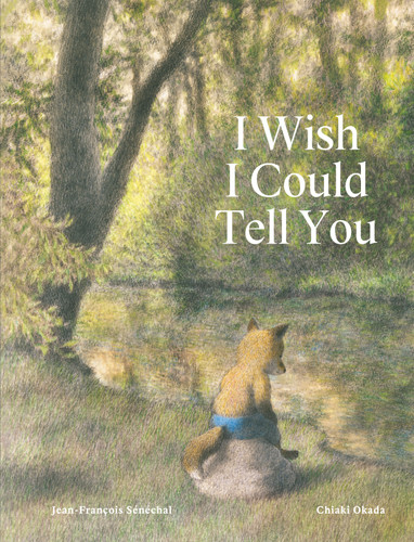 I Wish I Could Tell You book cover by Jean-Francois Sénéchal