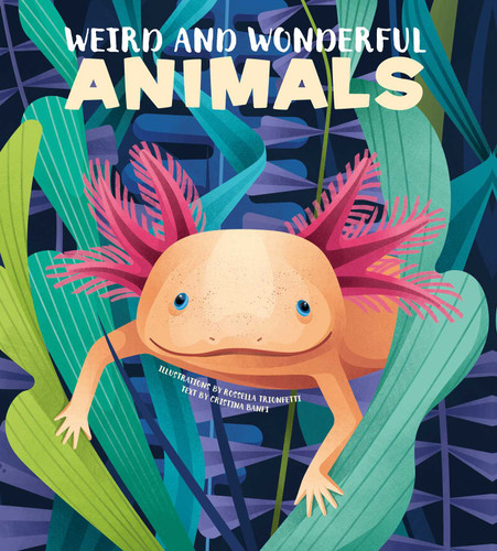 Weird and Wonderful Animals book cover by Cristina Banfi