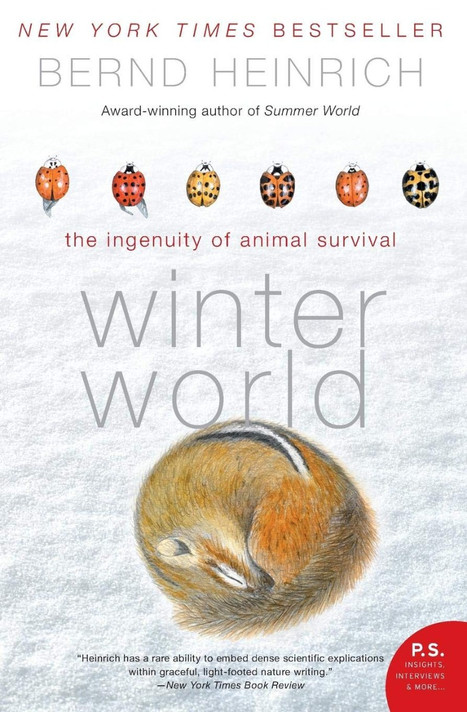 Winter World: The Ingenuity of Animal Survival (P.S.) Cover