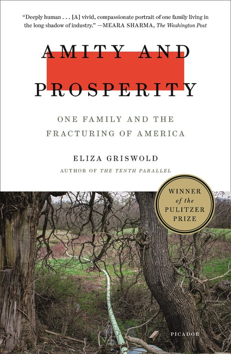 Amity and Prosperity: One Family and the Fracturing of America Cover