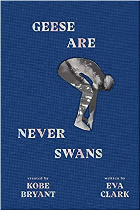 Geese Are Never Swans Cover