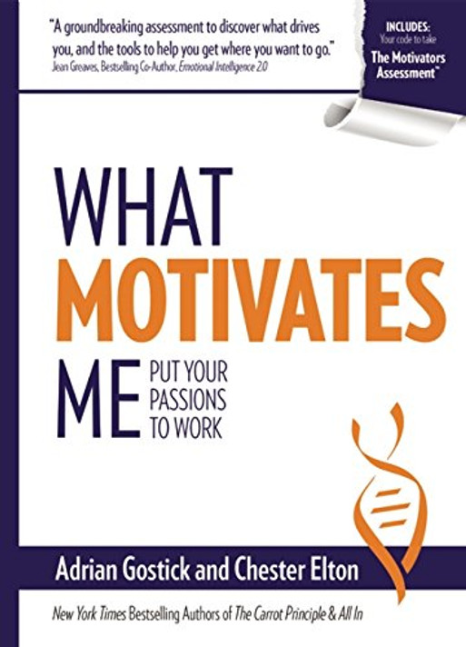 What Motivates Me: Put Your Passions to Work Cover