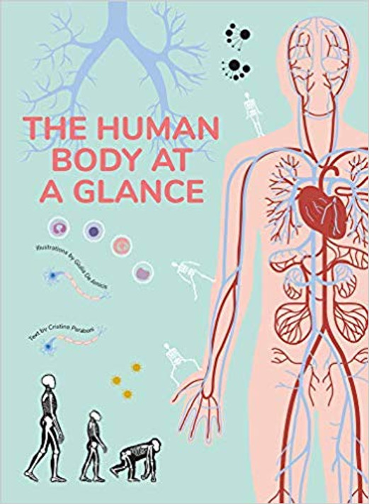 The Human Body at a Glance Cover