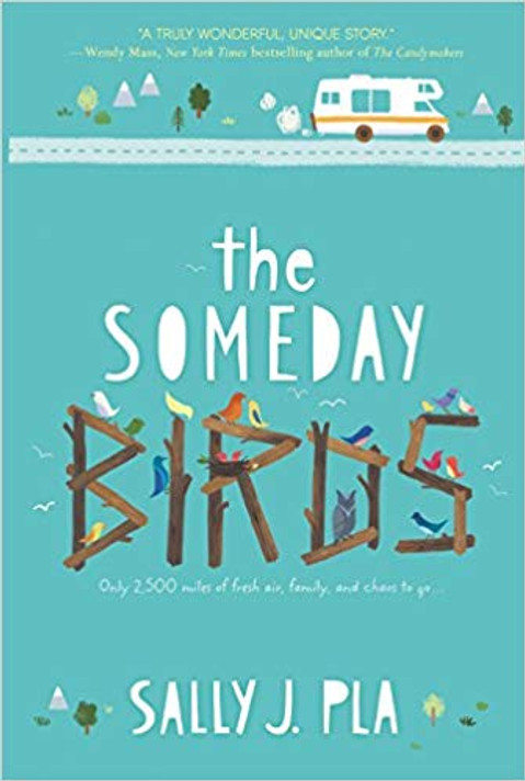 The Someday Birds Cover