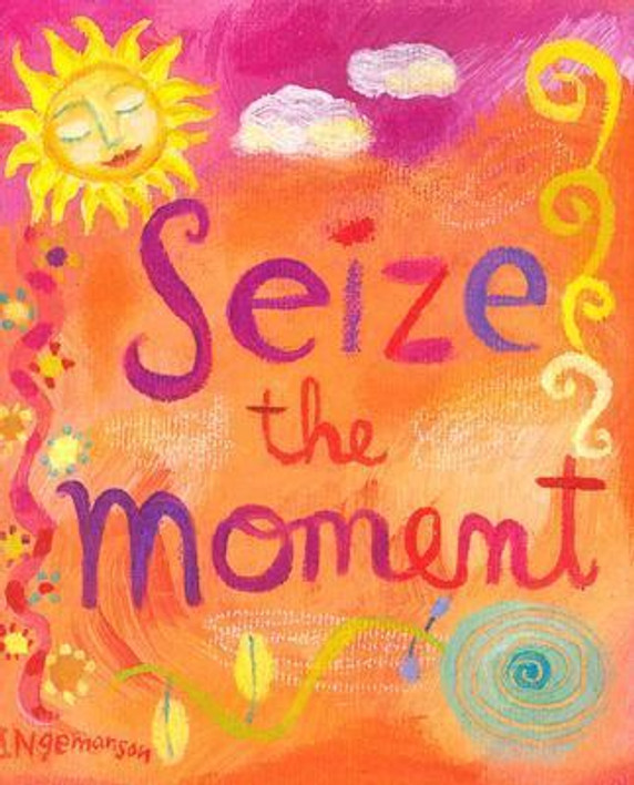 Seize the Moment [Hardcover] Cover