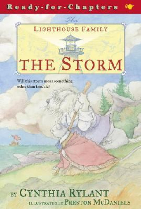The Storm [Paperback] Cover