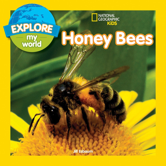 Explore My World: Honey Bees - Cover