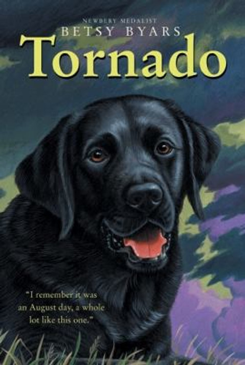Tornado ( Trophy Chapter Books ) Cover