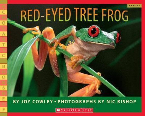 Red-Eyed Tree Frog Cover