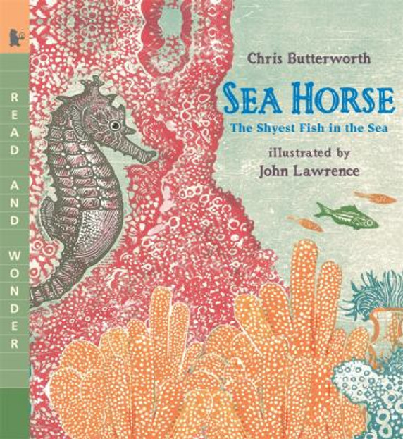 Sea Horse: Read and Wonder Cover