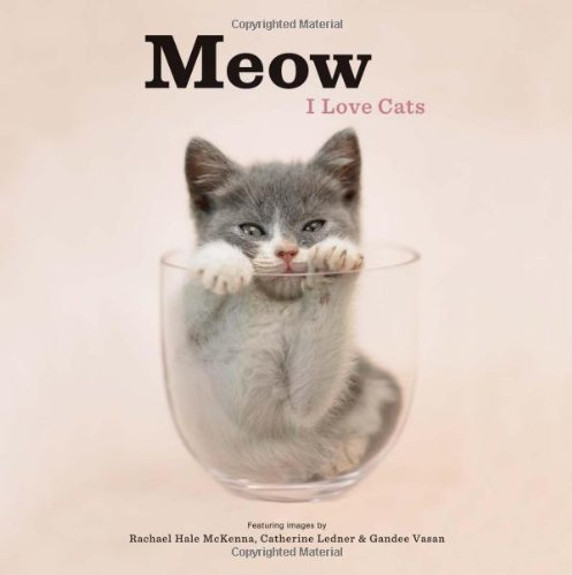 Meow: I Love Cats Cover