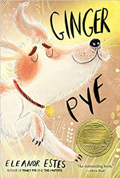 Ginger Pye Cover