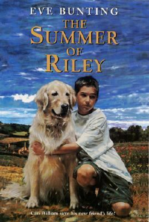 The Summer of Riley Cover