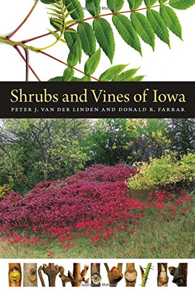 Shrubs and Vines of Iowa (Bur Oak Guide) Cover