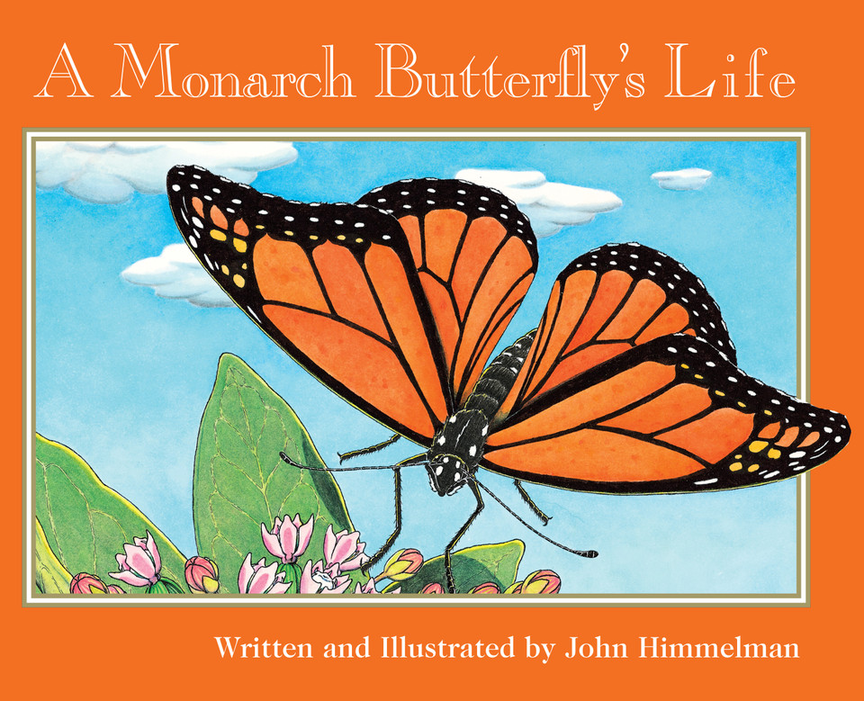 A Monarch Butterfly's Life (Nature Upclose) (Nature Upclose) book cover by John Himmelman
